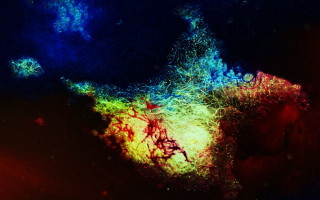 Colorful particles night sky fire - chiharu shiota free wallpaper