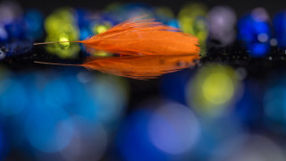 Feather bokeh moon lens flare - circle free wallpaper