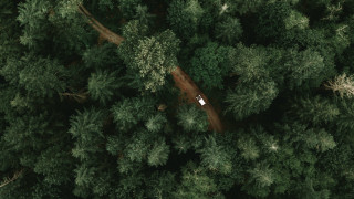 Car parked forest top down - daniel lieske free wallpaper for desktop