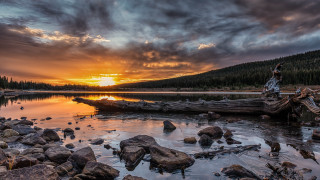 Sunset lake fallen tree mountain - fallen free wallpaper