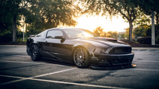 Black mustang parked autumn forest - the car free wallpaper
