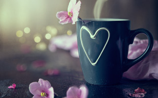 Heart flower cup pink background - a cup free wallpaper