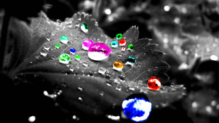Leaf water drops blue circle - macro art free wallpaper