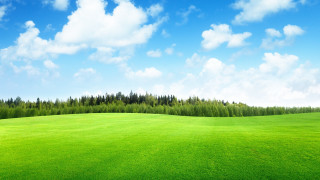 Green field trees blue sky 2 - cloud above free wallpaper