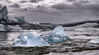 Icebergs glacier birds water matte - a group of icebergs free wallpaper