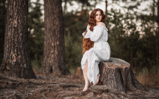 Woman white dress tree stump 2 - free cats wallpaper