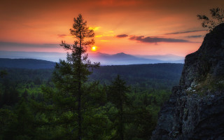 Sunset mountain forest horizon dusk - a forest below free wallpaper