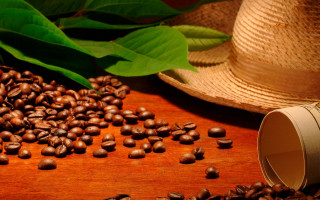 Wooden table coffee beans hat - ceferí olivé free wallpaper