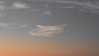 Sunset plane clouds bird horizon - apelle free wallpaper