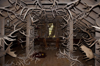 Antler chairs land art puzzle - the room free wallpaper