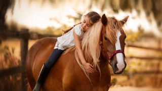 Young girl horse fence tree - a young girl free wallpaper