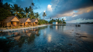 Beach huts dock palmtrees waterfront - carl critchlow free wallpaper for desktop