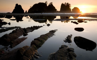 Sunset beach rocks water trees - rock and water free wallpaper for desktop