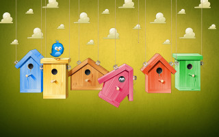 Colorful birdhouses hanging bird blue - corneille free wallpaper