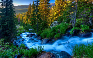 Mountain stream forest rocks sunset - nature free wallpaper