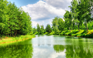 River trees grass sky clouds - water and trees free wallpaper