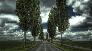 Road trees barn cloudy sky - both side free wallpaper