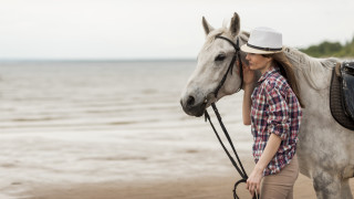 Horse beach woman hat plant - a horse in the foreground free wallpaper