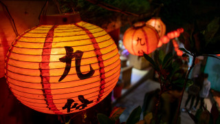 Lantern chinese character faces plant - a lantern free wallpaper for desktop