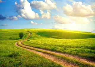 Dirt road green field blue 5 - the horizon free wallpaper
