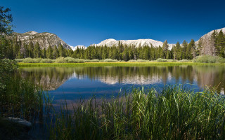 Lake mountains tallgrass forest blueSky - green tree free wallpaper