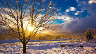 Snowy tree sunshine clouds road - the cloud free wallpaper