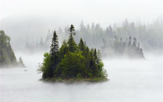 Small island lake foggy forest - a foggy day free wallpaper