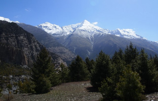Mountain range snow capped forests - clear free wallpaper
