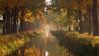 River forest autumn impressionism bridge - impressionism free wallpaper