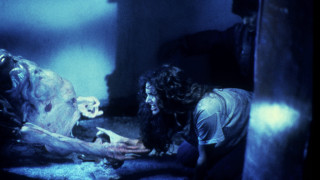 Man woman room dead animal - clark voorhees free wallpaper