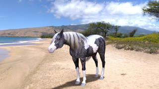 Horse beach ocean mountains clouds - foto realistic free wallpaper
