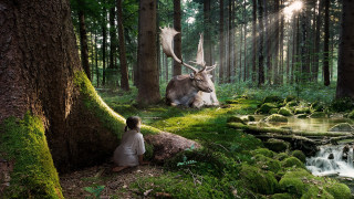 Woman forest deer statue stream - surreal photography free wallpaper for desktop