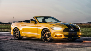 Yellow mustang convertible road field 2 - convertible free wallpaper