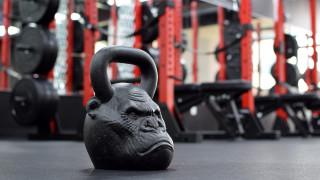 Black kettle gorilla gym 3d - a gorilla free wallpaper