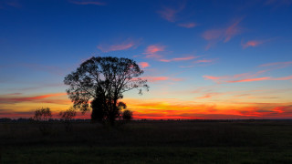 Sunset tree field clouds mountains - a tree in a field free wallpaper
