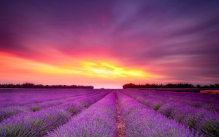 Lavender sunset clouds purple hue - a purple hue free wallpaper