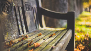 Wooden bench leaves park autumn - grass and trees free wallpaper