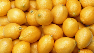 Oranges pile tabletop white background - a yellow border free wallpaper