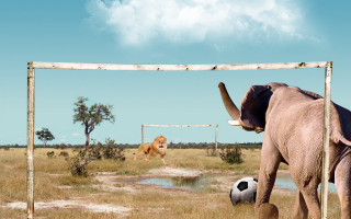 Elephant kicking soccer dog goal - a dog free wallpaper for desktop