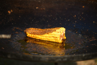 Fried corn pan oil spatula - carpoforo tencalla free wallpaper