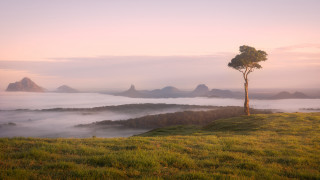 Lone tree hill foggy valley - a lone tree free wallpaper