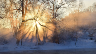 Sunbeam trees snow river winter - a sunbeam free wallpaper