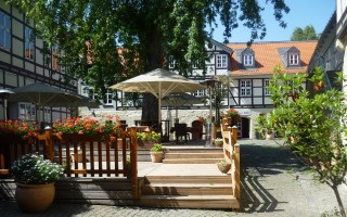 Wooden bench umbrella flower tree - a sidewalk next free wallpaper