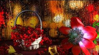 Basket berries flower autumn red - andrey ryabovichev free wallpaper