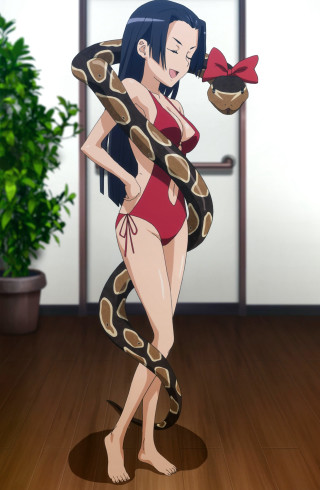 Woman red swimsuit snake potted - a snake free wallpaper for mobile