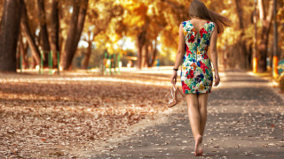 Woman leafed road park autumn - path free wallpaper