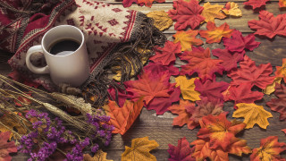 Autumn leaves coffee blanket dried - a table free wallpaper