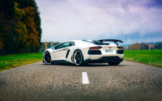 White sports car tiltshift nature 2 - grass and trees free wallpaper