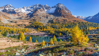 Mountain lake trees rocks snow - mountain in the background free wallpaper