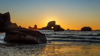 Sunset ocean rocks bird reflection - the water and a bird free wallpaper